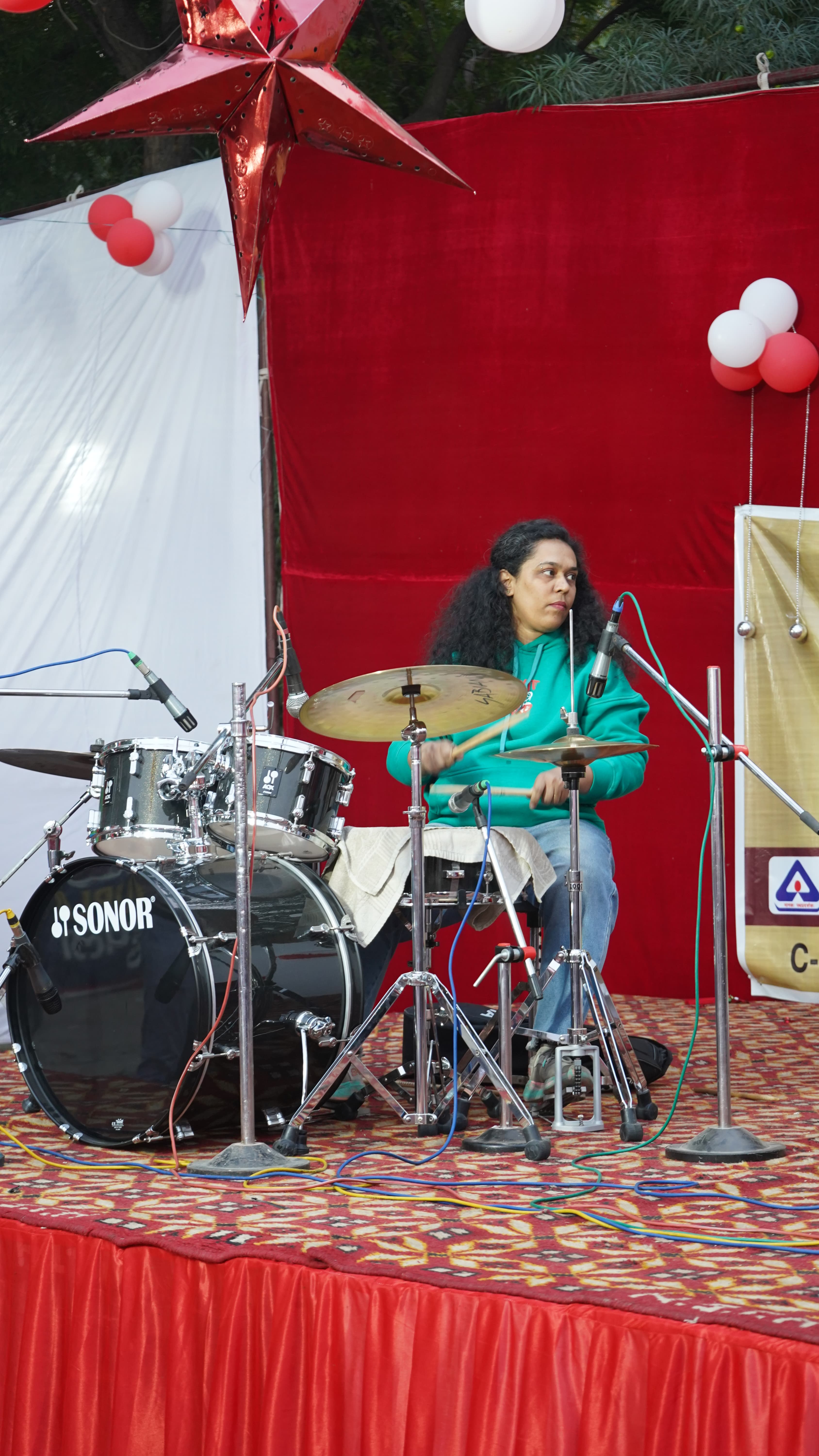 Winter Carnival, photo 8